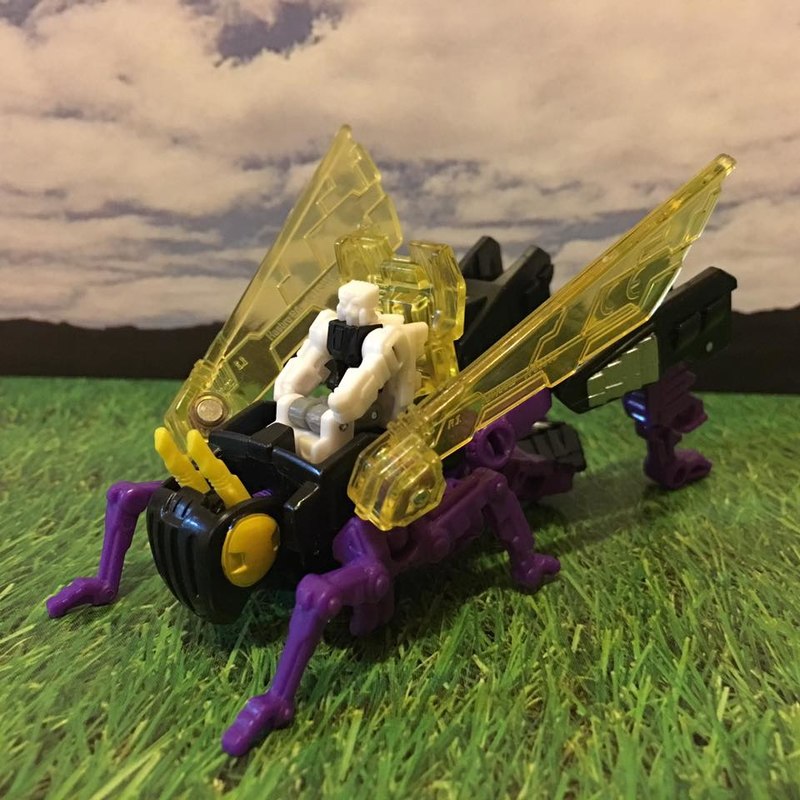 Titans Return Kickback Legends Insecticon In Hand Photos